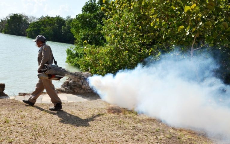 enfermedades transmitidas por vector