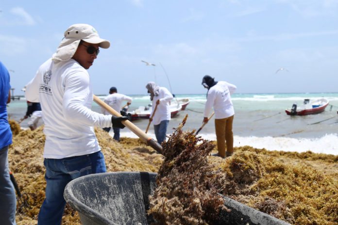 mantenimiento de playas