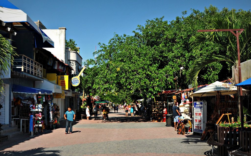 Inicia retiro de comercio ambulante irregular en la Quinta Avenida
