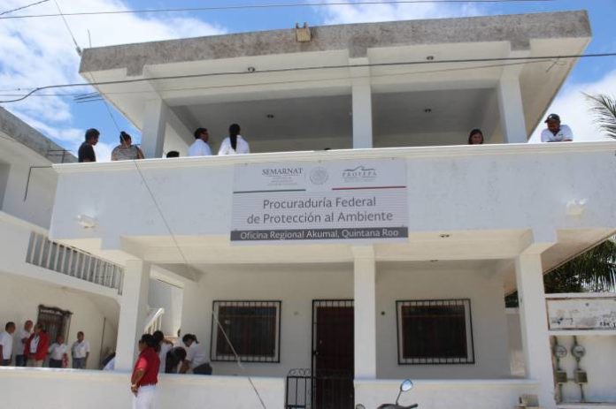 profepa tulum 28052017