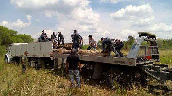 gendarmeria 12052017