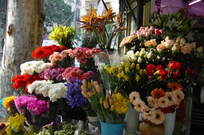 dia de la madre 08052017