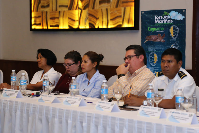 Tortugas Marinas