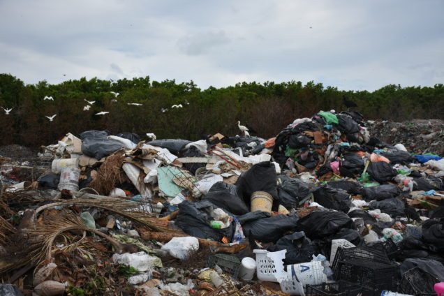 problemas ambientales