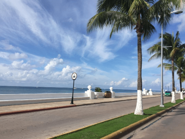 Onda Tropical No. 14