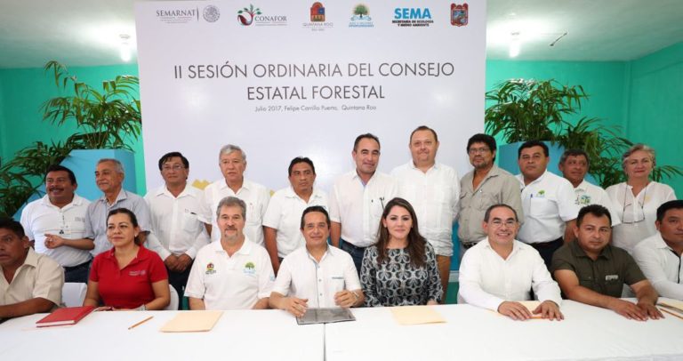 Consejo Estatal Forestal