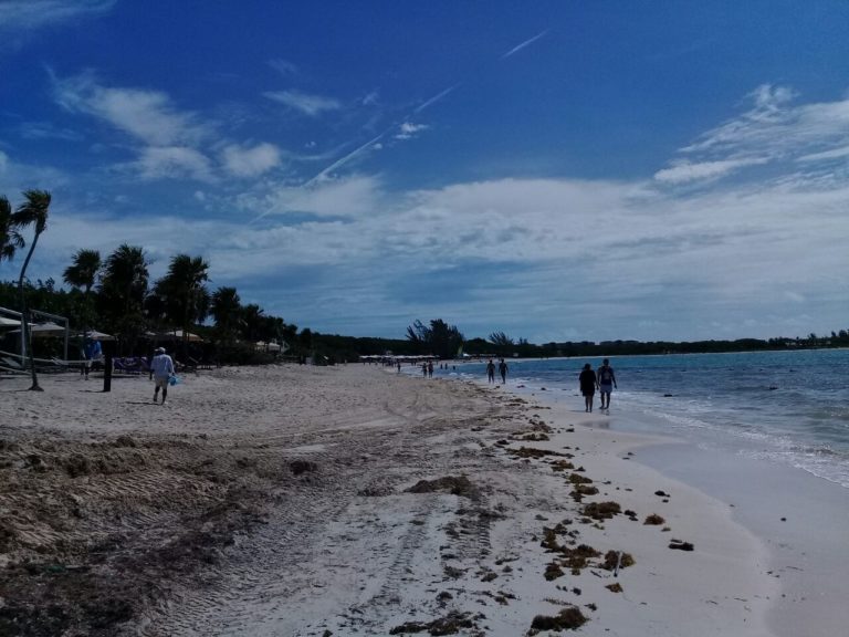 Autoridades locales también revisarán proyecto de recuperación de playas del Paradisus