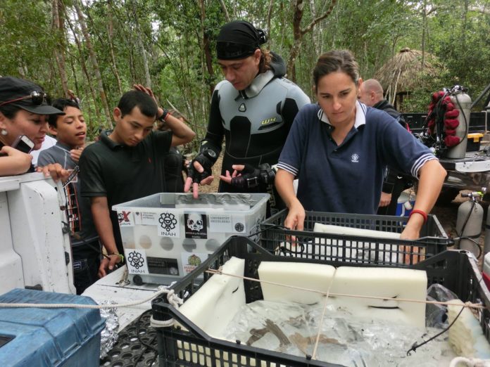 carmen rojas 23082017