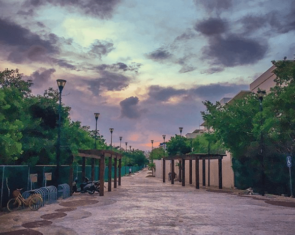 onda tropical no. 29