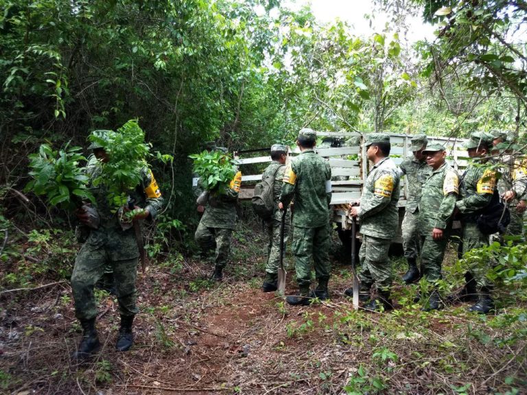 QROO REFO SEDENA (4)