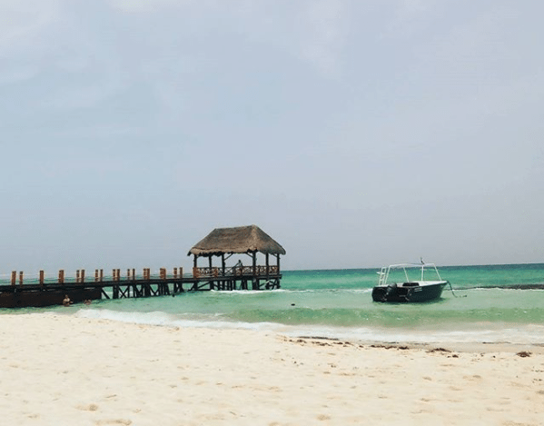 onda tropical no. 25