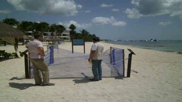 secrets aura profepa 8082017