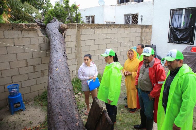 franklin pto morelos 2