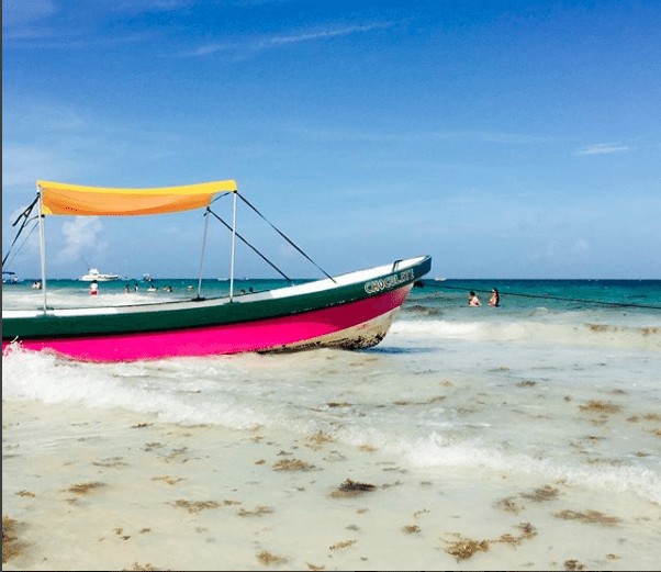 presencia de sargazo