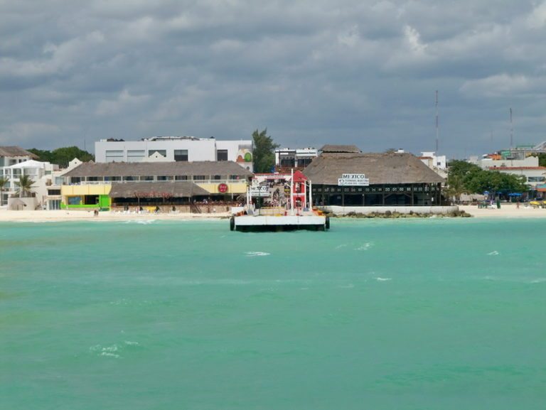 Denuncian públicamente tala clandestina de palmeras