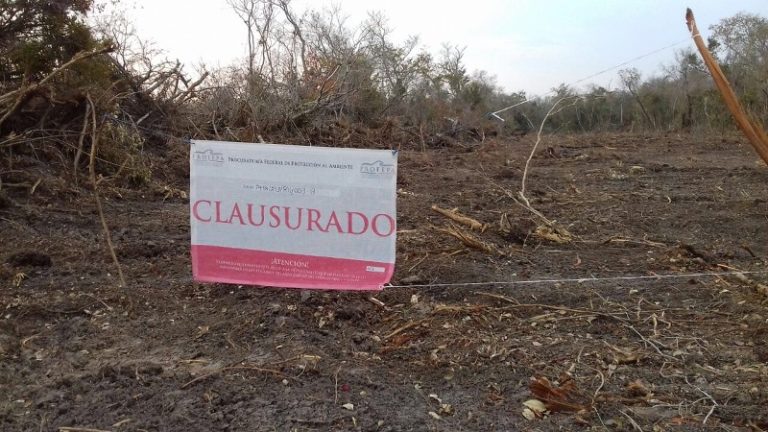 Bacalar clausura profepa