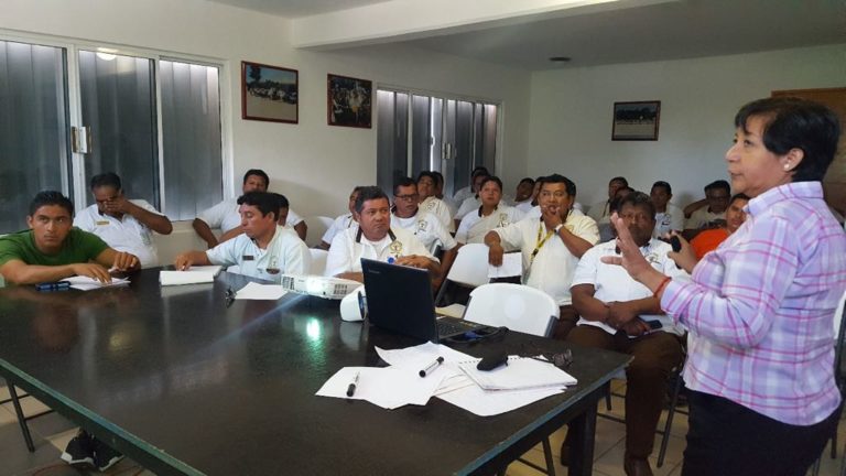 taxistas pto morelos