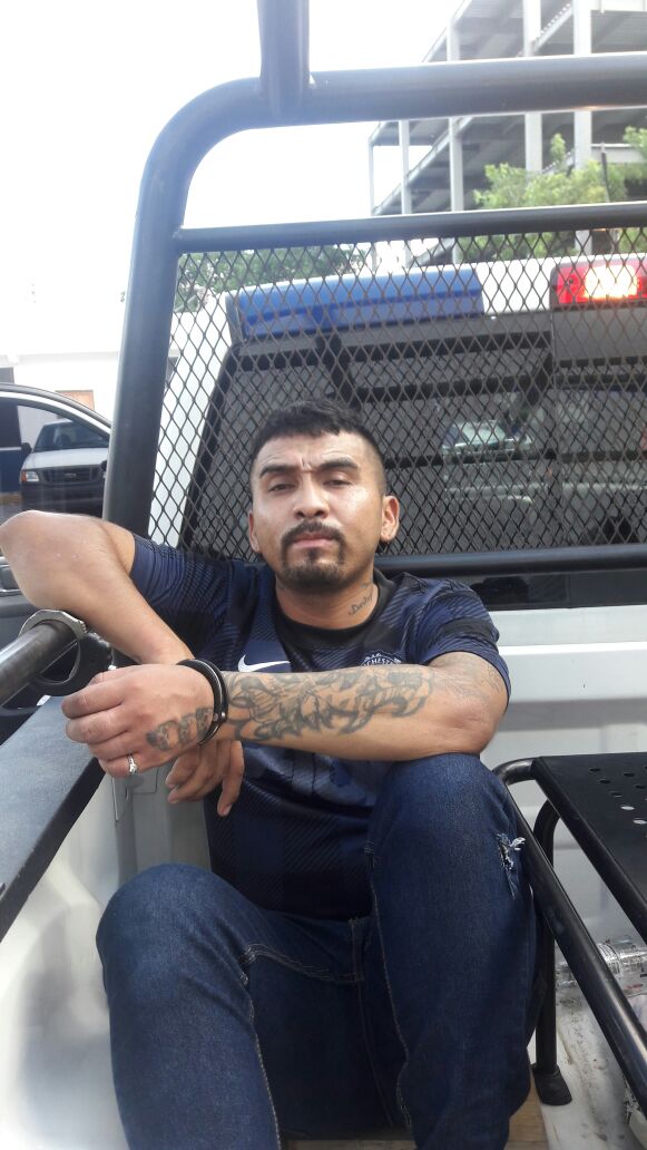 Maleantes darán”grito”en el Torito