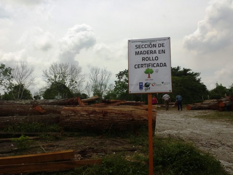 QROO CERTIFICACIÓN (2)