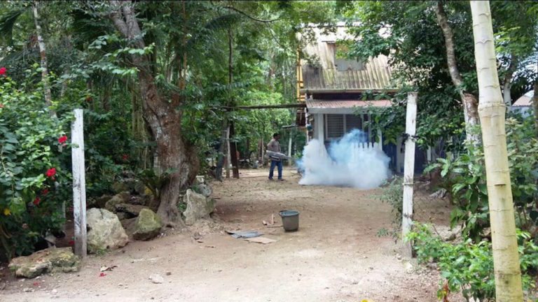 enfermedades transmitidas por vector