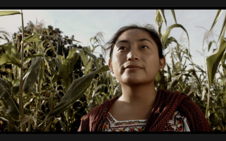 “El Pib” la receta de cocina maya con la que es imposible no llorar