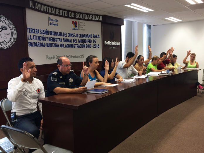 reglamento para voluntarios del cebiam