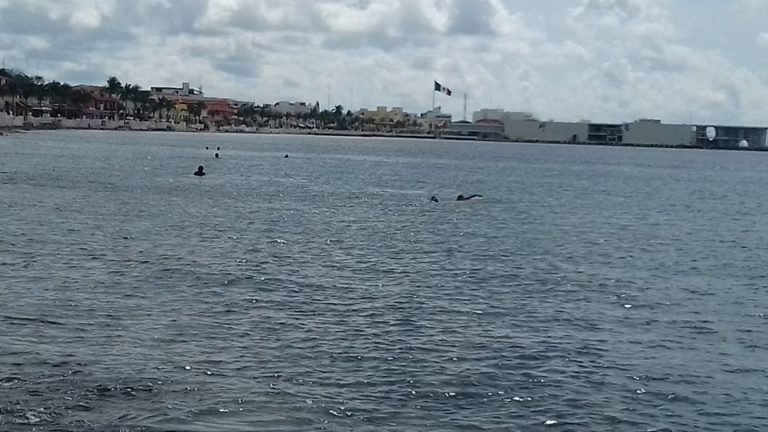 Celebrarán Congreso Nacional de Ciencia y Tecnología del Mar