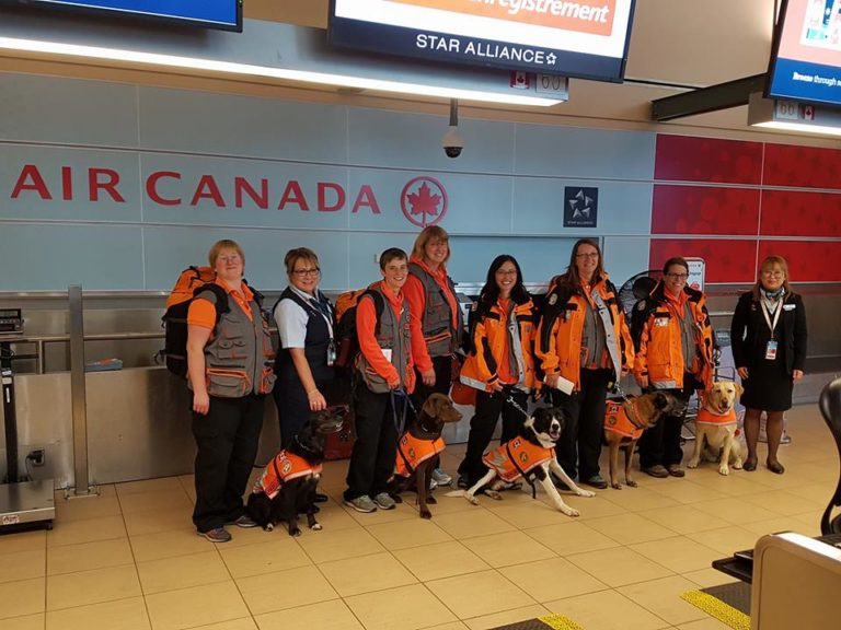 Casdda: las rescatistas canadienses que ayudaron a México