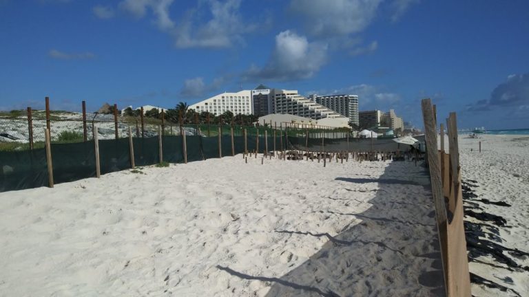 Empresarios avalan obra del Gran Solaris