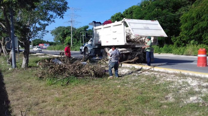 violencia contra la mujer