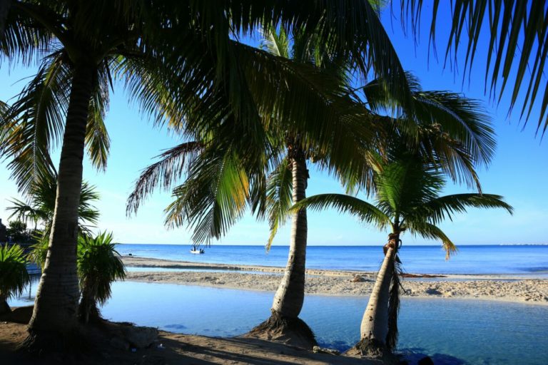 Playa del Carmen trabaja en diversas materias para conservar liderazgo turístico