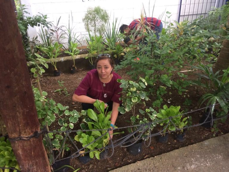 Eco-Bahía hace donación para el Centro Ecológico Akumal