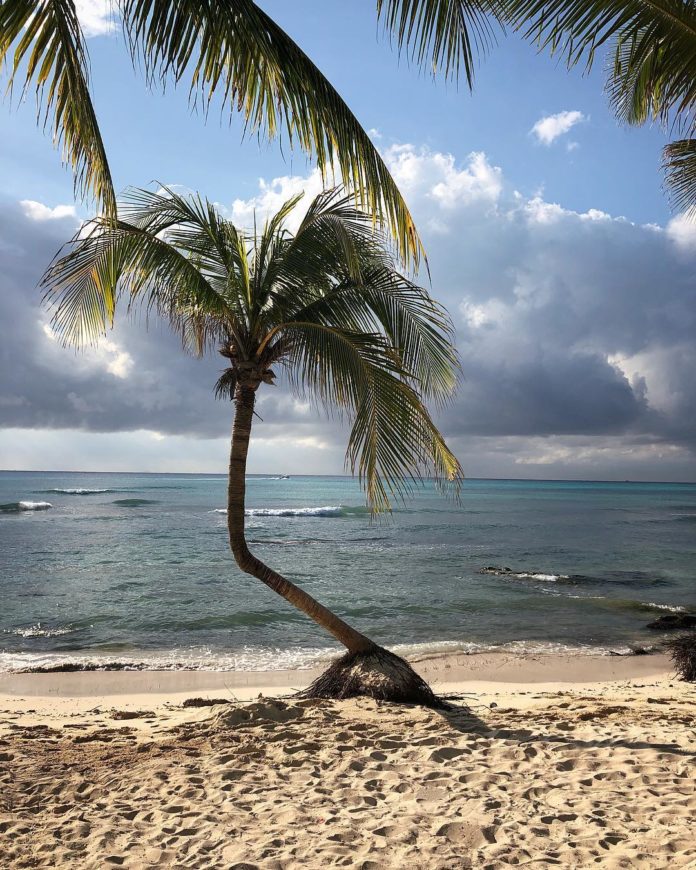 depresión tropical no. 19