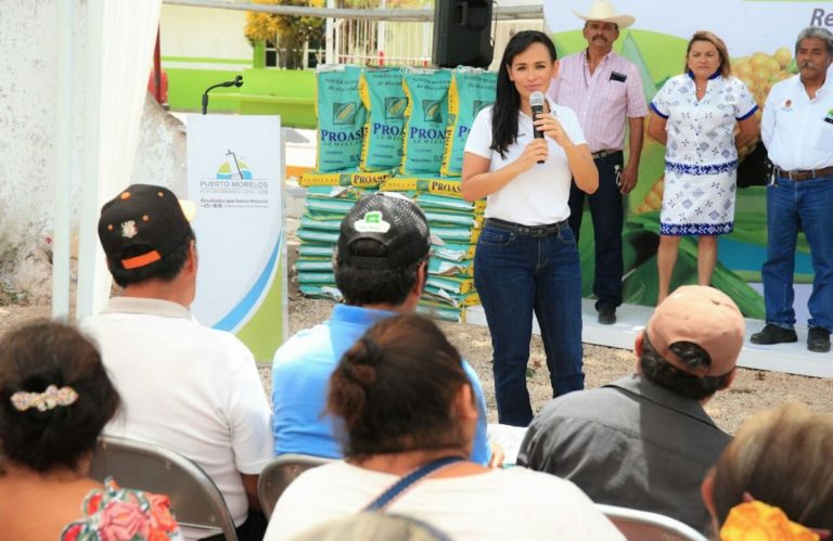 desarrollo del campo