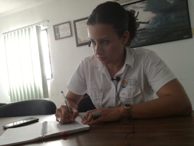 Subirá a partir de enero precio de entrada del Parque de Arrecifes