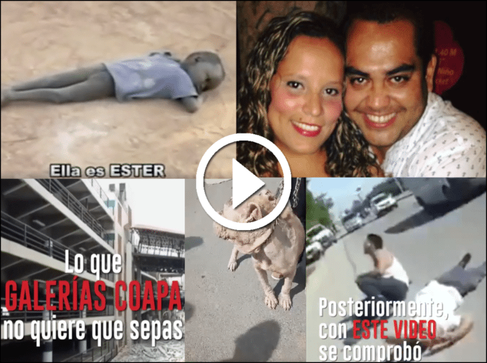 los videos más vistos