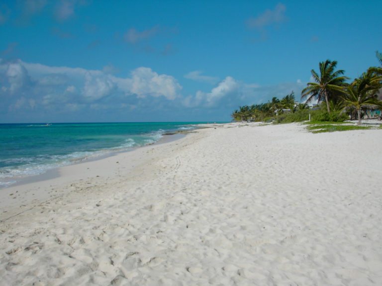 Verifica Profepa obras de recuperación de playas en Punta Bete, Solidaridad