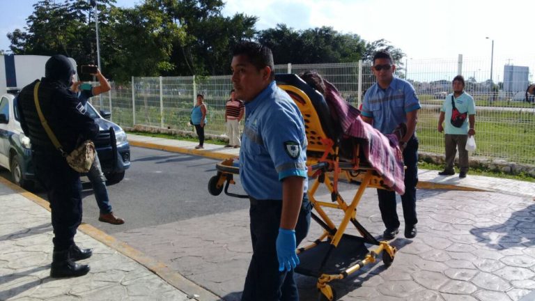 Baleada en Puerto Morelos llega a Cancún