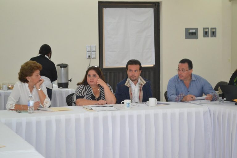 Designan nueva presidente de la Fundación de Museos