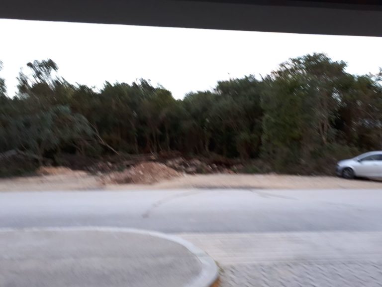 Denuncian vecinos de La Joya, devastación en la selva