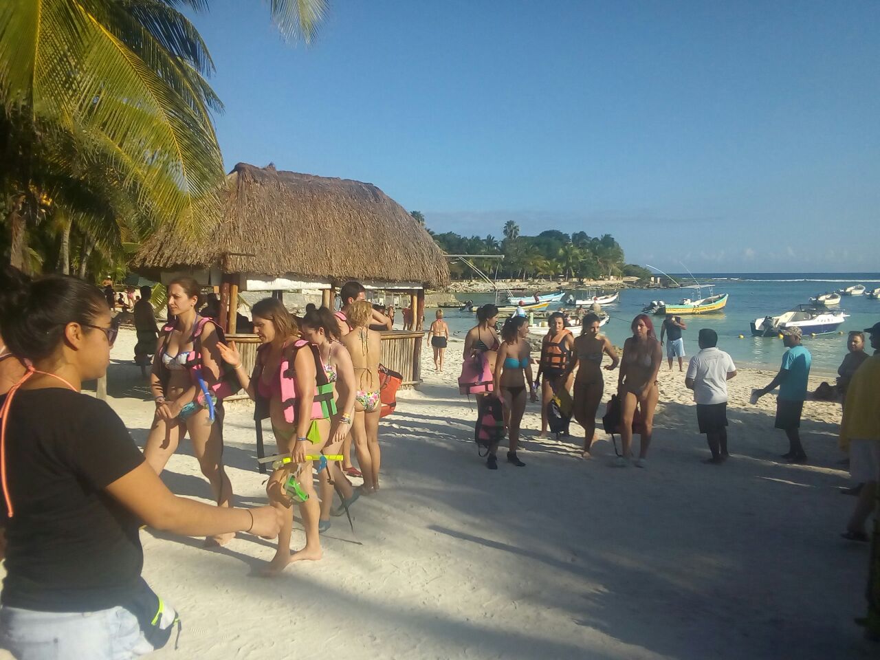Saca Profepa a turistas del nado con tortugas en Akumal