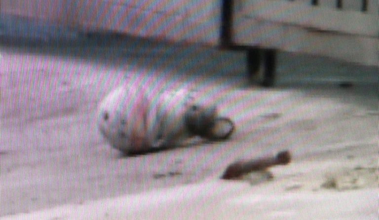 Granada hallada en Cozumel