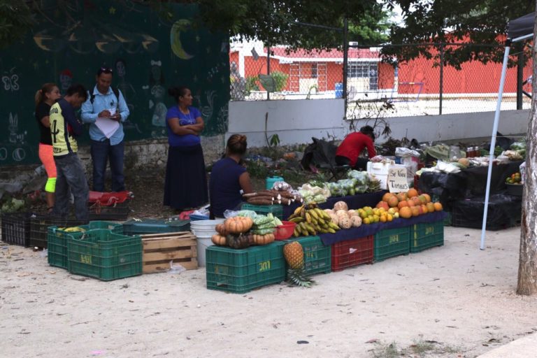 Reubican en tianguis de Nueva Creación a  vendedores de frutas y verduras