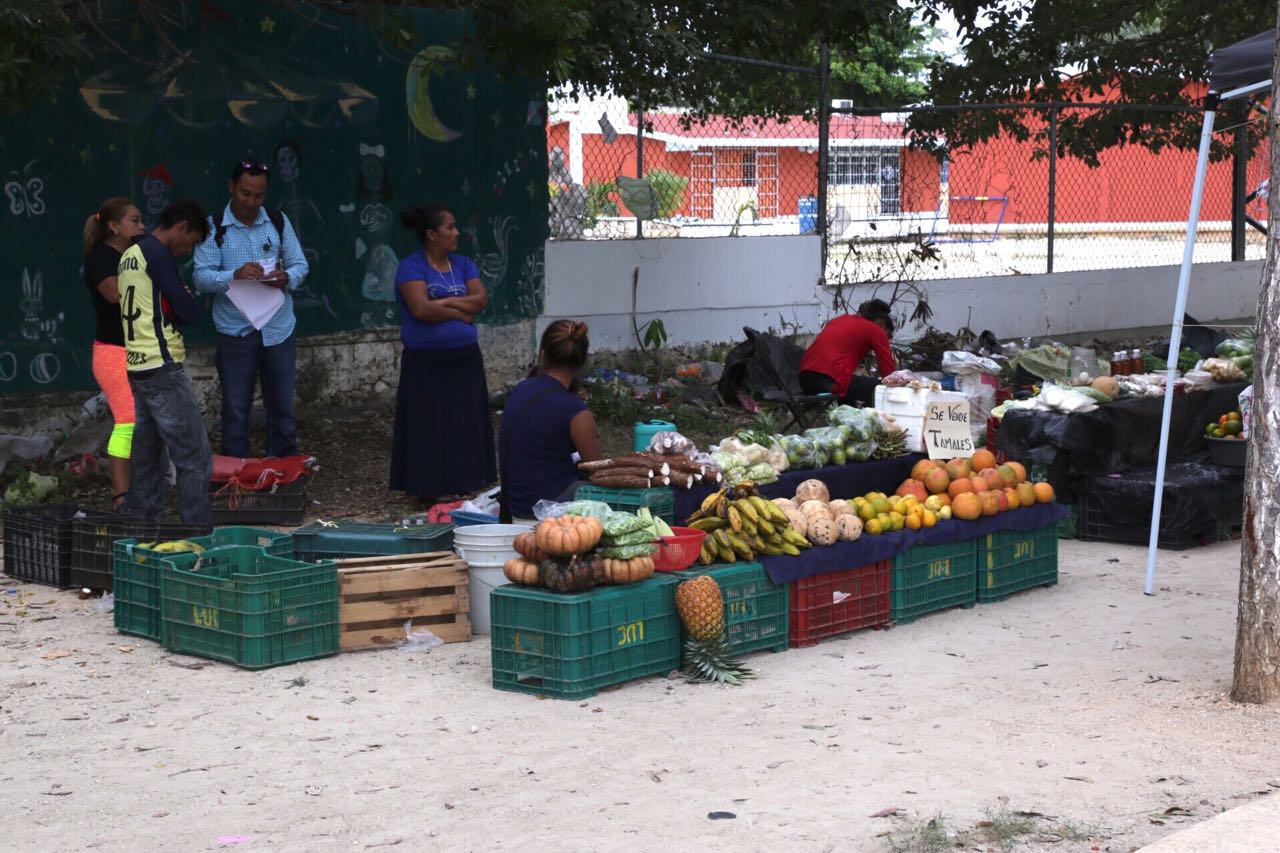 Reubican en tianguis de Nueva Creación a  vendedores de frutas y verduras
