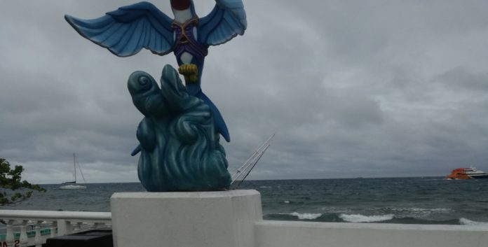 Nauticos en Cozumel paralizados por el mal tiempo