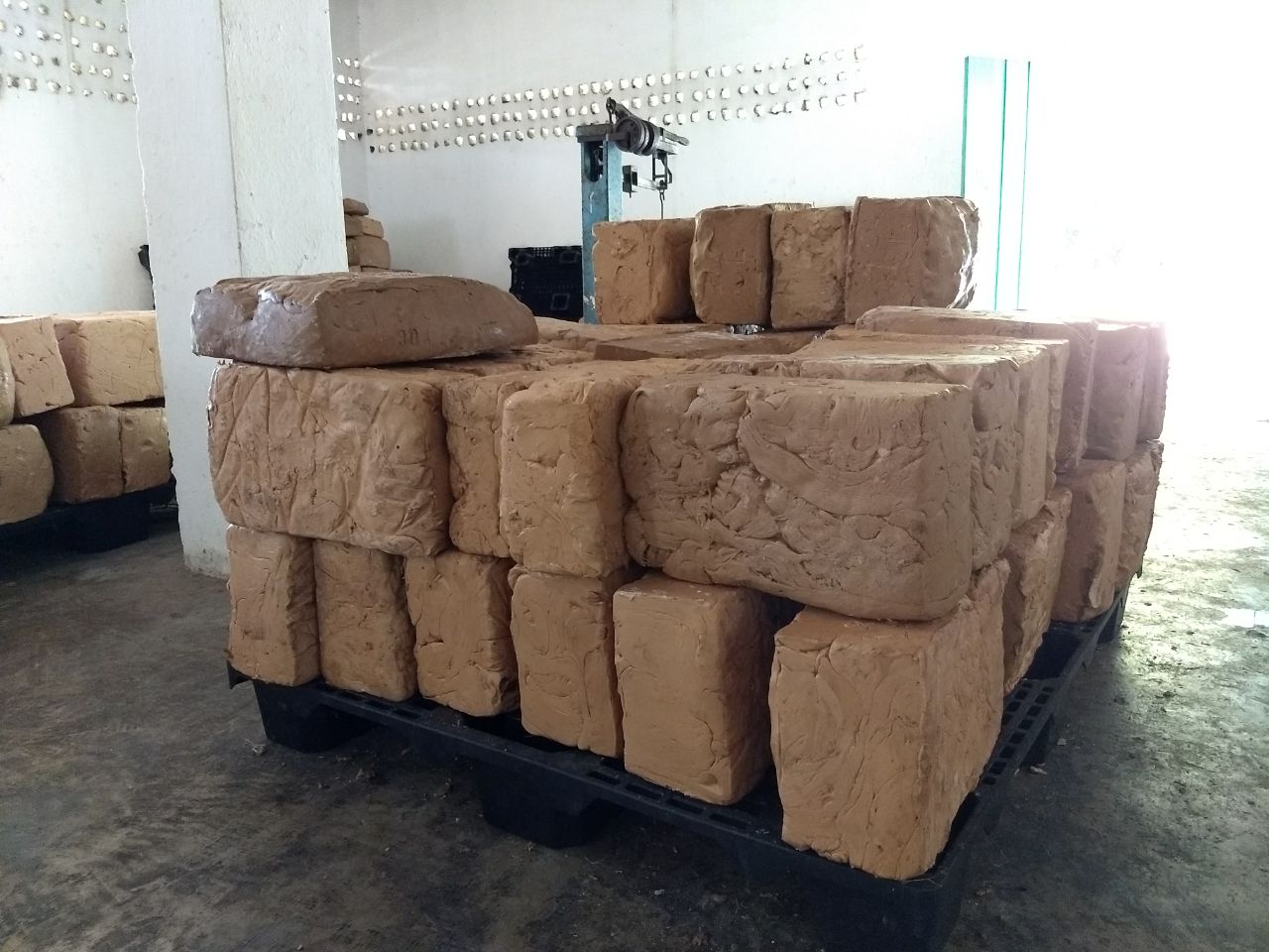 Exporta Carrillo Puerto 30 toneladas de chicle a Japón