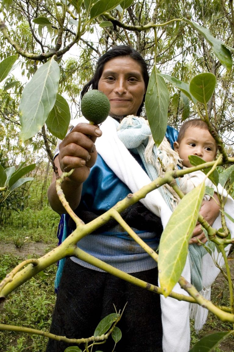 Este foro es para empoderar a las mujeres indígenas, que buscarán erradicar el hambre y la malnutrición