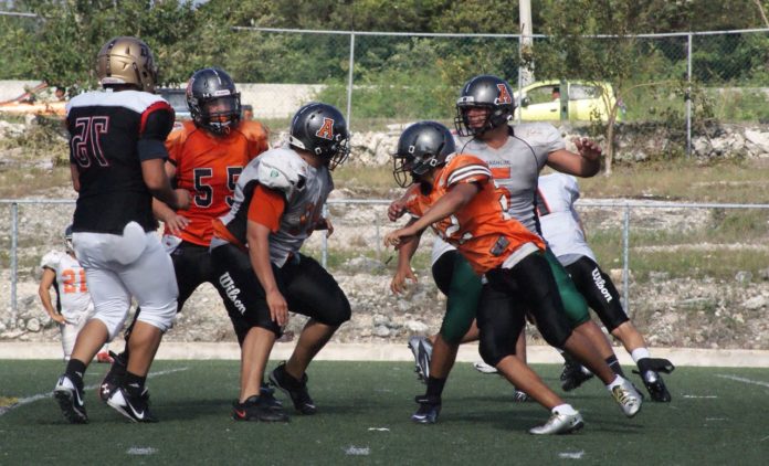 Leones de la Anáhuac, listos para iniciar preparación