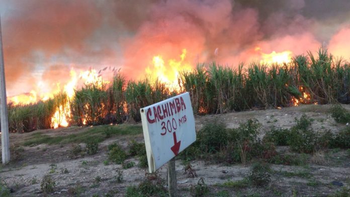Quema de caña en la Ribera del río Hondo