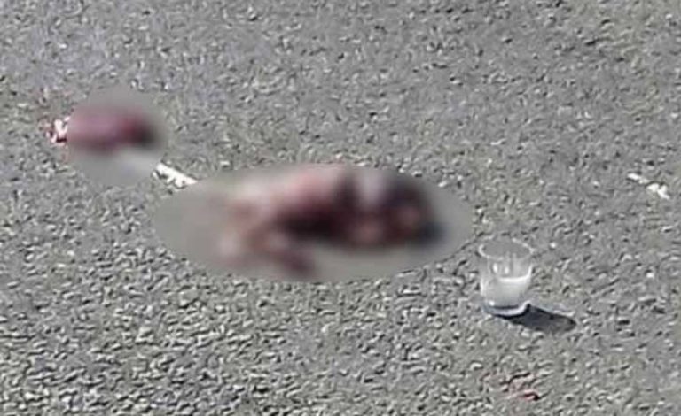 Tiran un feto en carretera de Tabasco (IMÁGENES FUERTES)
